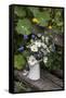Bouquet, Summer Flowers, Bank-Andrea Haase-Framed Stretched Canvas