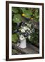 Bouquet, Summer Flowers, Bank-Andrea Haase-Framed Photographic Print