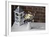 Bouquet, Summer Flowers, Lantern-Andrea Haase-Framed Photographic Print