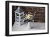 Bouquet, Summer Flowers, Lantern-Andrea Haase-Framed Photographic Print