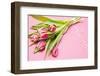 Bouquet, Tulips, Pink, Flowers, Table-Sebastian Scheuerecker-Framed Photographic Print