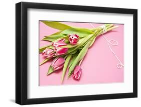 Bouquet, Tulips, Pink, Flowers, Table-Sebastian Scheuerecker-Framed Photographic Print