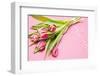 Bouquet, Tulips, Pink, Flowers, Table-Sebastian Scheuerecker-Framed Photographic Print