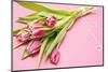 Bouquet, Tulips, Pink, Flowers, Table-Sebastian Scheuerecker-Mounted Photographic Print