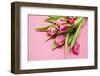 Bouquet, Tulips, Pink, Table-Sebastian Scheuerecker-Framed Photographic Print