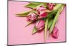 Bouquet, Tulips, Pink, Table-Sebastian Scheuerecker-Mounted Photographic Print