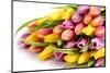 Bouquet with Fresh Tulips-Wolfgang Filser-Mounted Photographic Print