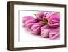 Bouquet with Fresh Tulips-Wolfgang Filser-Framed Photographic Print
