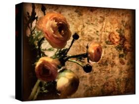 Bouquet-Katherine Sanderson-Stretched Canvas