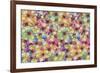 Bouquets of Roses-Maria Trad-Framed Giclee Print