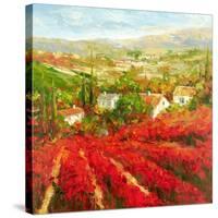 Bourgogne-Marino-Stretched Canvas