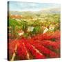 Bourgogne-Marino-Stretched Canvas