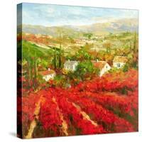 Bourgogne-Marino-Stretched Canvas