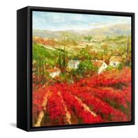 Bourgogne-Marino-Framed Stretched Canvas