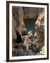 Bourke's Luck Potholes, Created By River Erosion, Blyde River Canyon, Mpumalanga, South Africa-Patrick Dieudonne-Framed Photographic Print