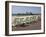 Bournemouth East Beach, Deck Chairs and Pier, Dorset, England, United Kingdom, Europe-Rainford Roy-Framed Photographic Print