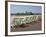 Bournemouth East Beach, Deck Chairs and Pier, Dorset, England, United Kingdom, Europe-Rainford Roy-Framed Photographic Print