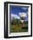 Bournemouth Eye in Lower Gardens, Bournemouth, Dorset, England, UK-Pearl Bucknall-Framed Photographic Print