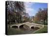 Bourton-On-The-Water, Gloucestershire, the Cotswolds, England, United Kingdom-Roy Rainford-Stretched Canvas