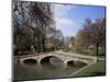 Bourton-On-The-Water, Gloucestershire, the Cotswolds, England, United Kingdom-Roy Rainford-Mounted Photographic Print