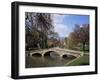 Bourton-On-The-Water, Gloucestershire, the Cotswolds, England, United Kingdom-Roy Rainford-Framed Photographic Print