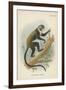 Boutourlini's Guenon-null-Framed Giclee Print