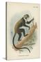 Boutourlini's Guenon-null-Stretched Canvas
