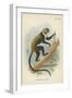 Boutourlini's Guenon-null-Framed Giclee Print