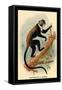 Boutourlini's Guenon-G.r. Waterhouse-Framed Stretched Canvas