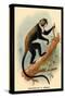 Boutourlini's Guenon-G.r. Waterhouse-Stretched Canvas