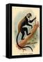 Boutourlini's Guenon-G.r. Waterhouse-Framed Stretched Canvas