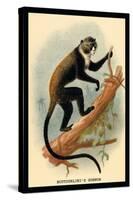 Boutourlini's Guenon-G.r. Waterhouse-Stretched Canvas