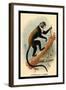 Boutourlini's Guenon-G.r. Waterhouse-Framed Art Print