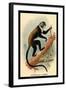 Boutourlini's Guenon-G.r. Waterhouse-Framed Art Print