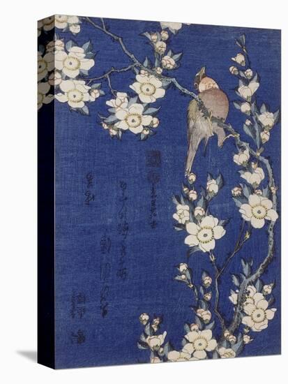 Bouvreuil et cerisier pleureur en fleur-Katsushika Hokusai-Stretched Canvas