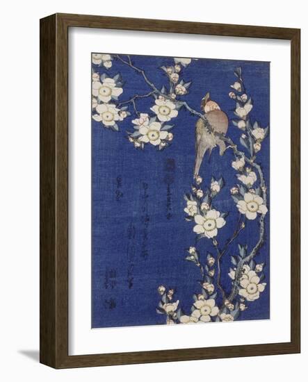 Bouvreuil et cerisier pleureur en fleur-Katsushika Hokusai-Framed Giclee Print