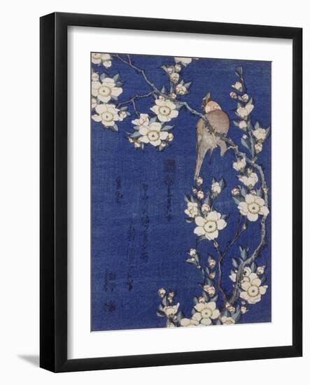 Bouvreuil et cerisier pleureur en fleur-Katsushika Hokusai-Framed Giclee Print