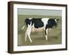 Bovine Portrait I-null-Framed Art Print