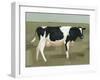 Bovine Portrait I-null-Framed Art Print