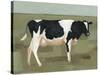 Bovine Portrait I-null-Stretched Canvas