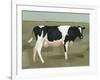 Bovine Portrait I-null-Framed Art Print