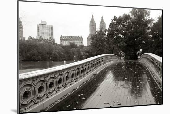 Bow Bridge 2010-Chris Bliss-Mounted Photographic Print