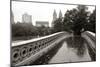 Bow Bridge 2010-Chris Bliss-Mounted Photographic Print