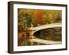 Bow Bridge Beauty-Jessica Jenney-Framed Giclee Print