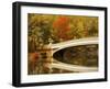 Bow Bridge Beauty-Jessica Jenney-Framed Giclee Print