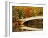 Bow Bridge Beauty-Jessica Jenney-Framed Giclee Print