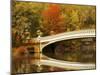 Bow Bridge Beauty-Jessica Jenney-Mounted Giclee Print