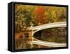 Bow Bridge Beauty-Jessica Jenney-Framed Stretched Canvas