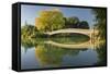 Bow Bridge, Central Park, Manhattan, New York-Rainer Mirau-Framed Stretched Canvas