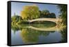 Bow Bridge, Central Park, Manhattan, New York-Rainer Mirau-Framed Stretched Canvas